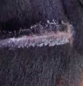 A parting for a braid saturated with gel.